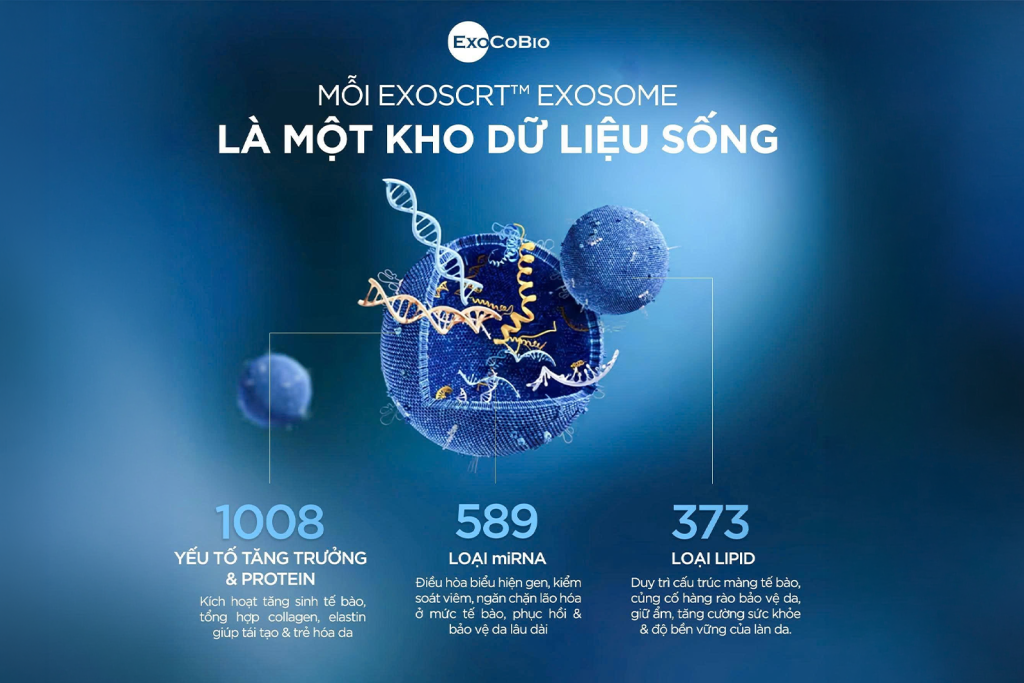 thiet-lap-cham-soc-da-voi-Exosome3